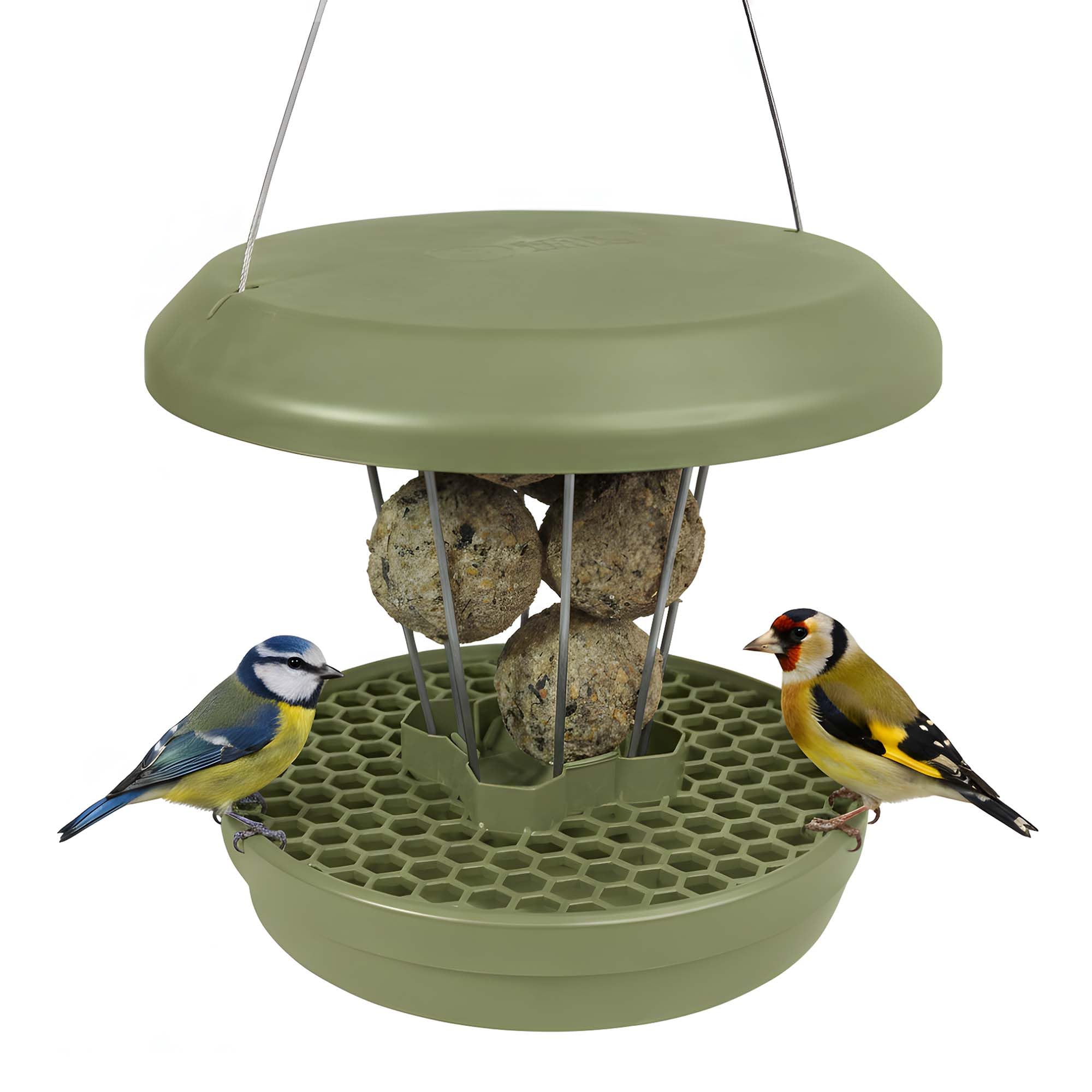swissinno-grossvogel-abwehr-ring-f-r-smart-birds-futterspender-davos-geneva image 7