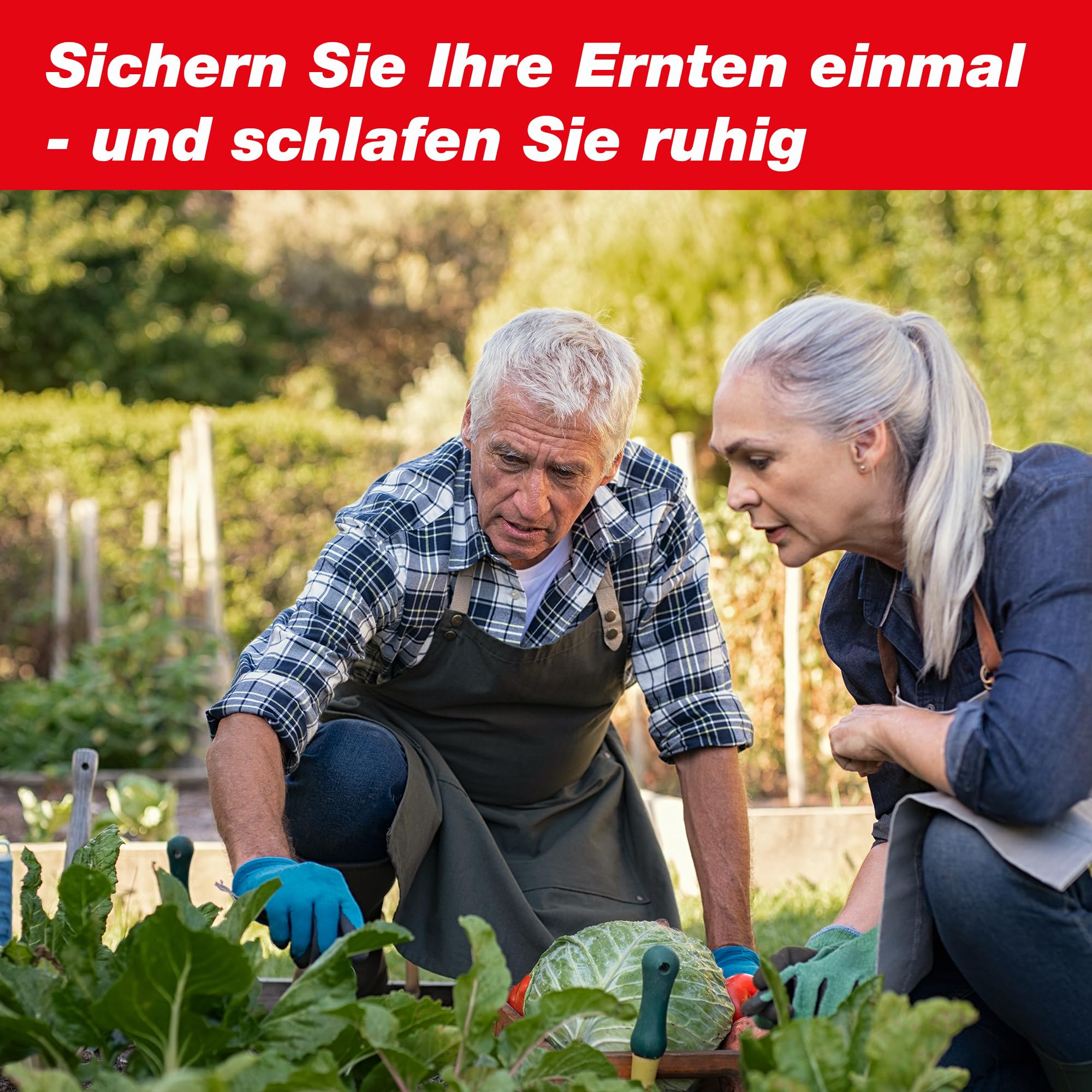 swissinno-schneckenzaun-mit-greifzange-komplett-set-2-m-schneckenkragen-mit-ecke image 7