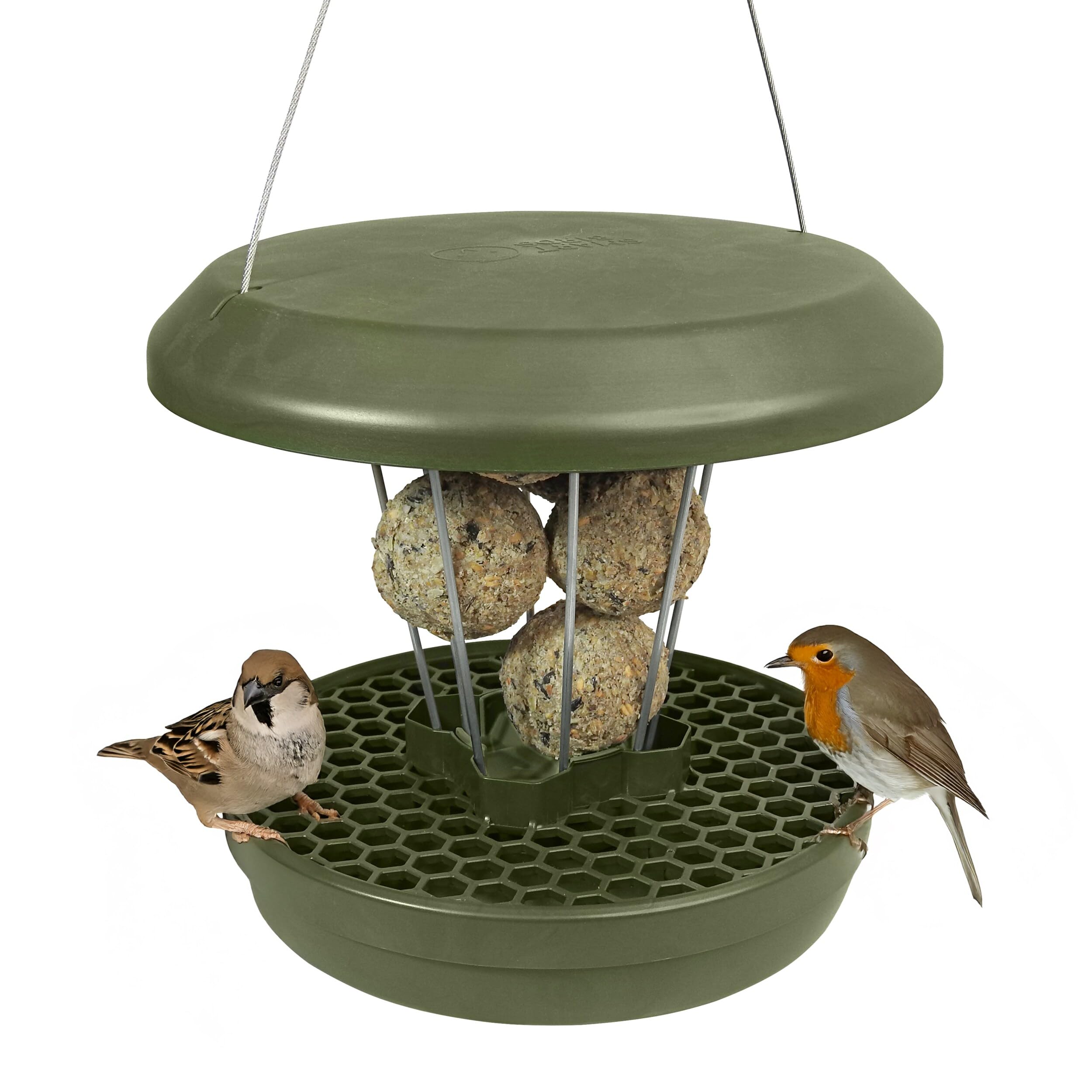 swissinno-grossvogel-abwehr-ring-f-r-smart-birds-futterspender-davos-geneva image 6