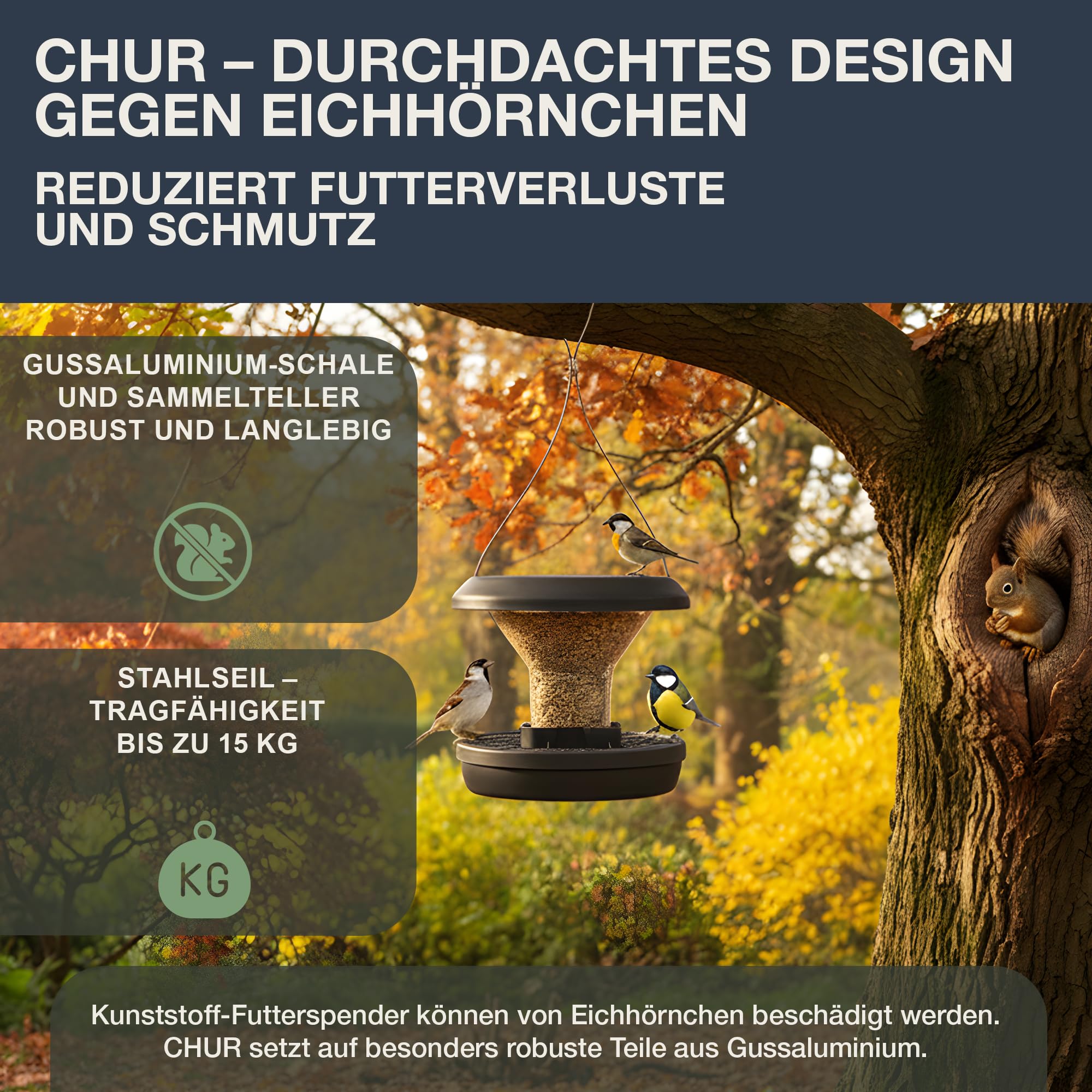 swissinno-chur-smart-birds-vogelfutterhaus-zum-aufh-ngen-eichh-rnchenresistent-a image 4