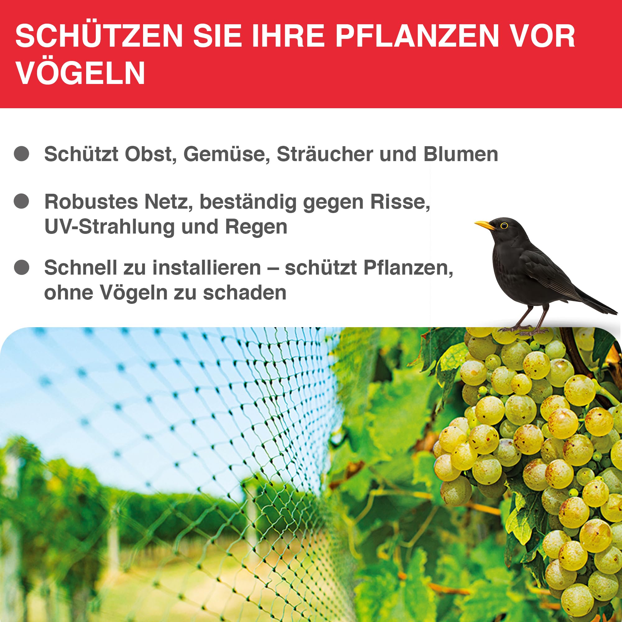 swissinno-vogelnetz-vogelschutznetz-engmaschig-10x2m image 2