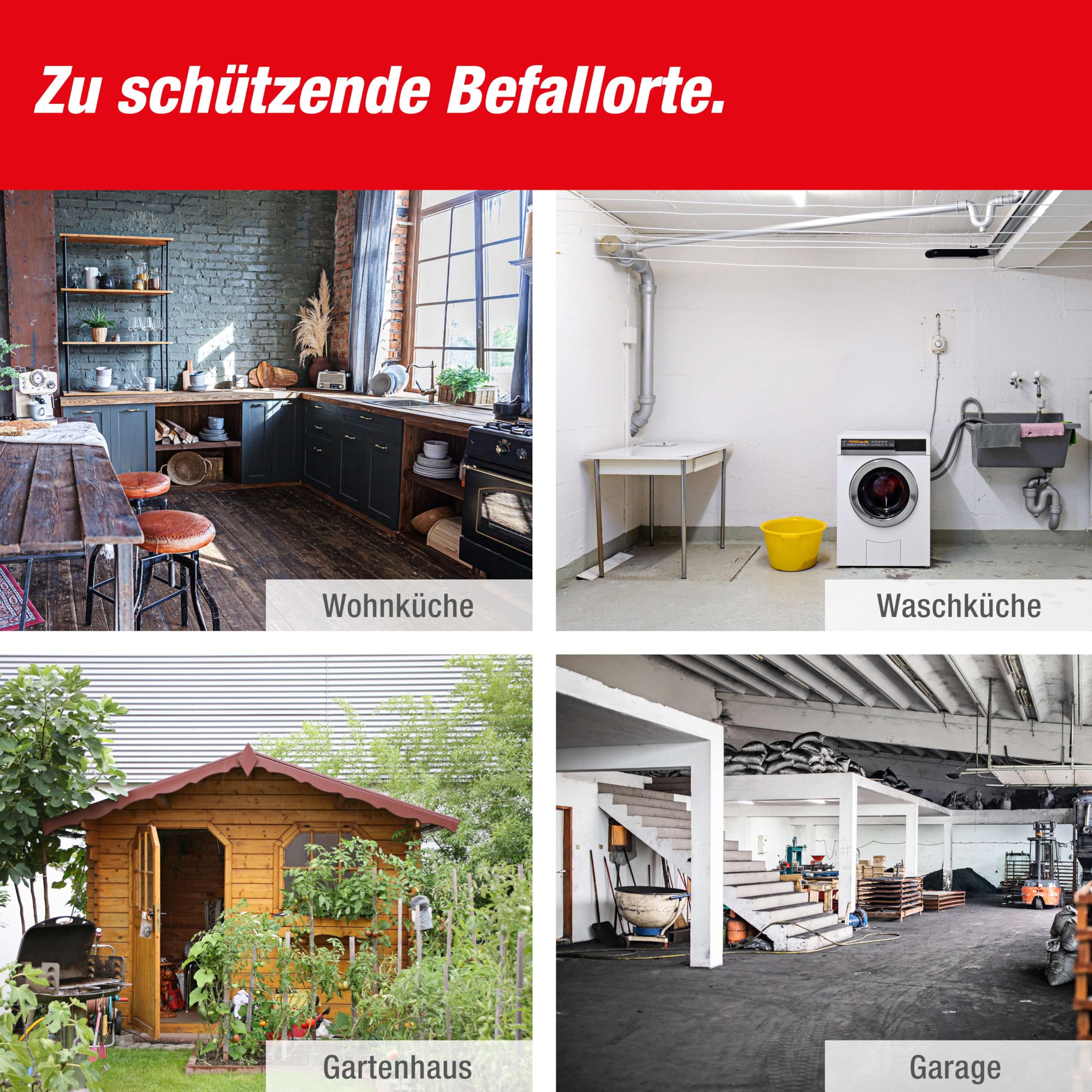 swissinno-rattenfalle-supercat-schlagfalle-1er-mit-k-der image 6