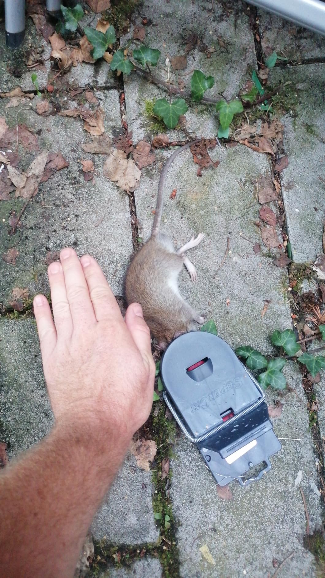 Hat beim ersten Mal funktioniert