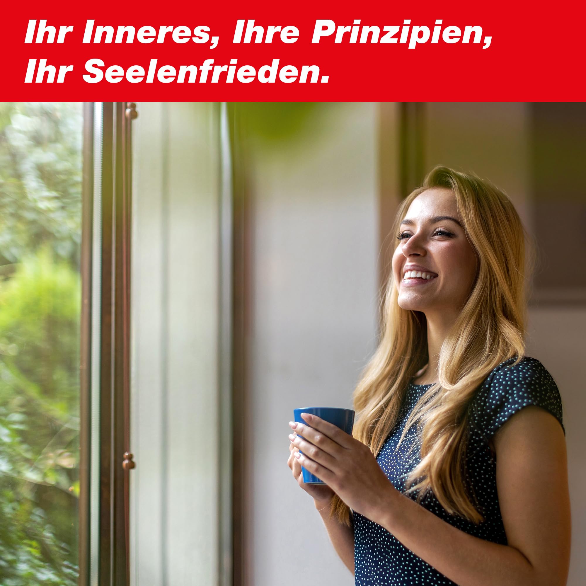 swissinno-fenster-fliegenfalle-transparent-4er-pack image 8
