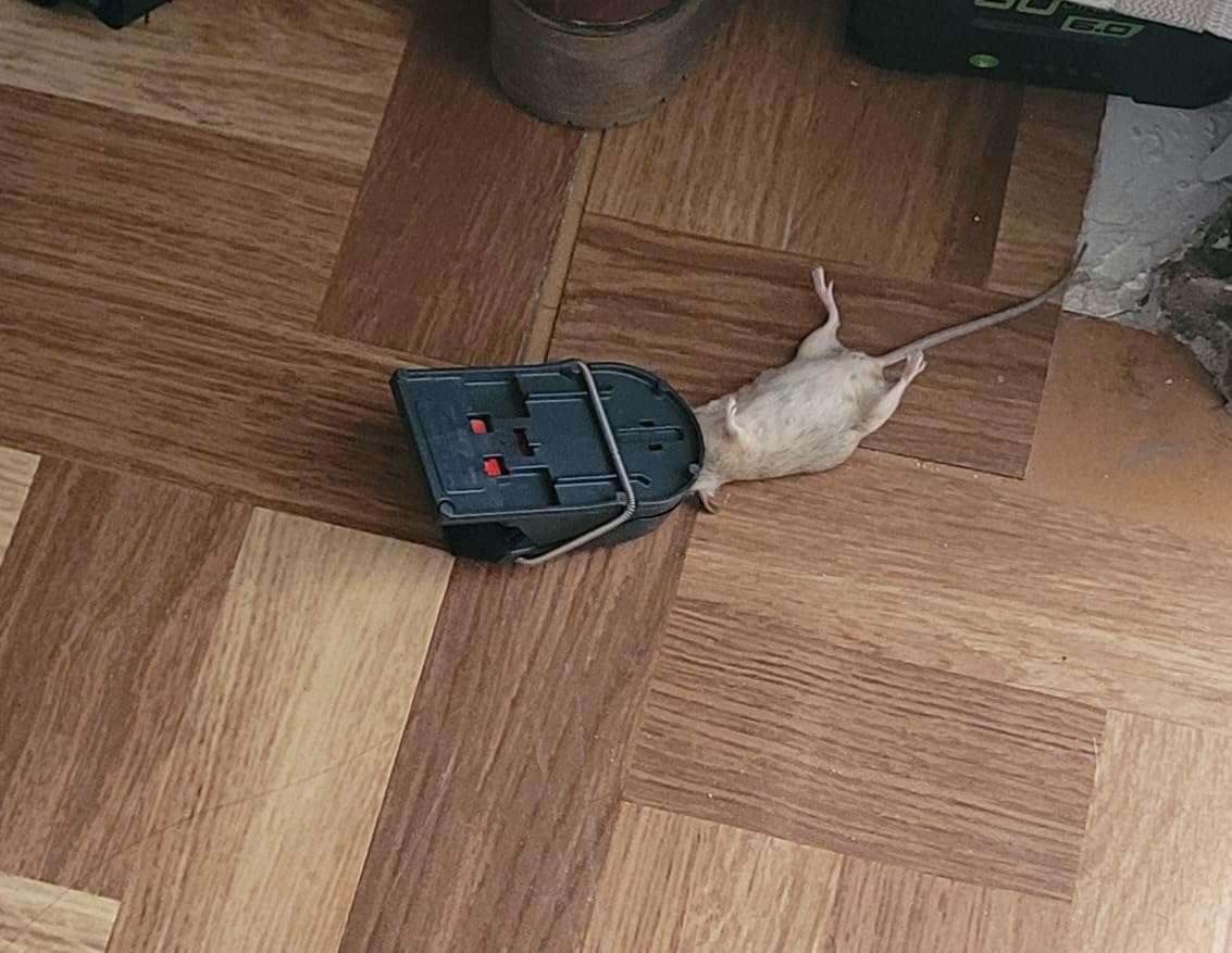 Funktioniert sofort