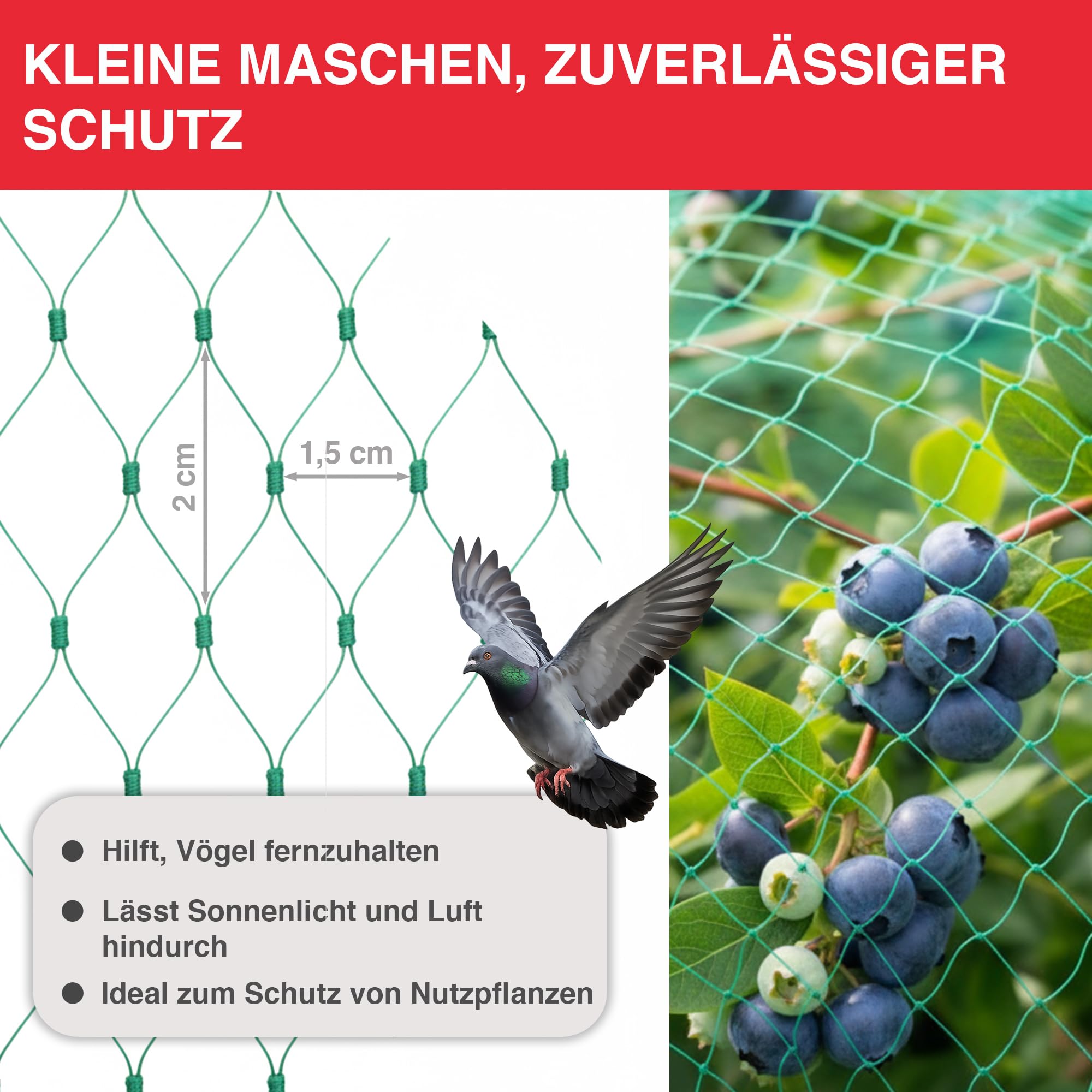 swissinno-vogelnetz-vogelschutznetz-engmaschig-10x2m image 6