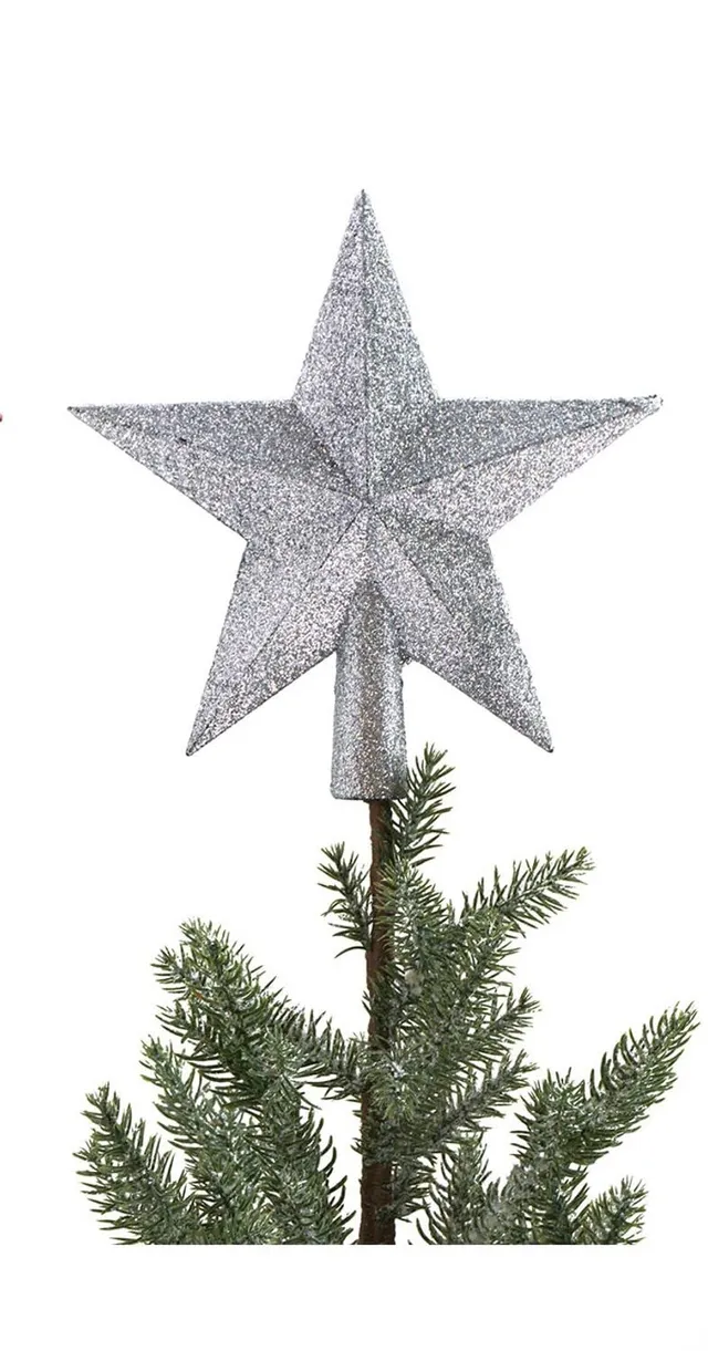 buri-baumspitze-stern-silber-19-cm-christbaumspitze-glitzer image 1