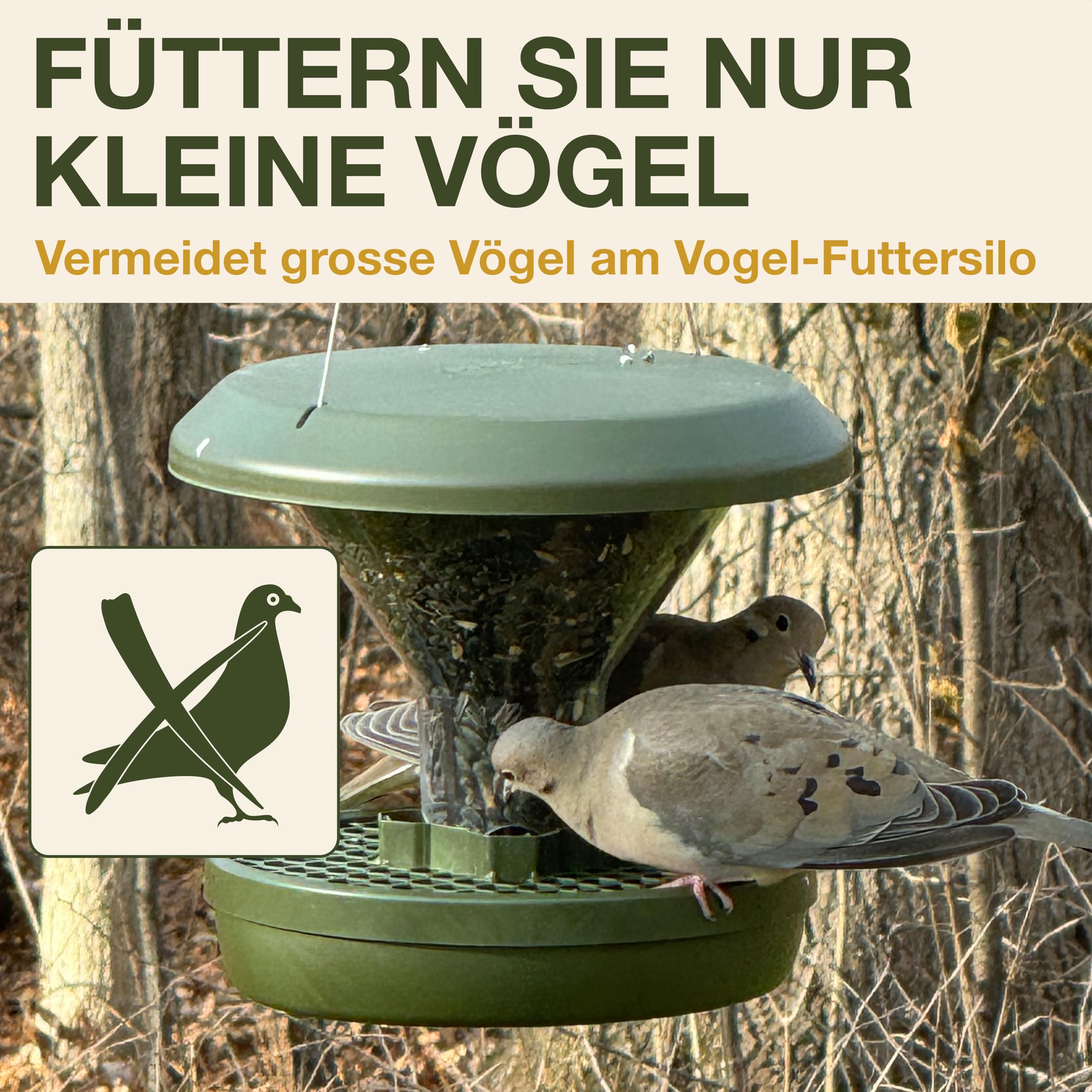 swissinno-grossvogel-abwehr-ring-f-r-smart-birds-futterspender-davos-geneva image 3