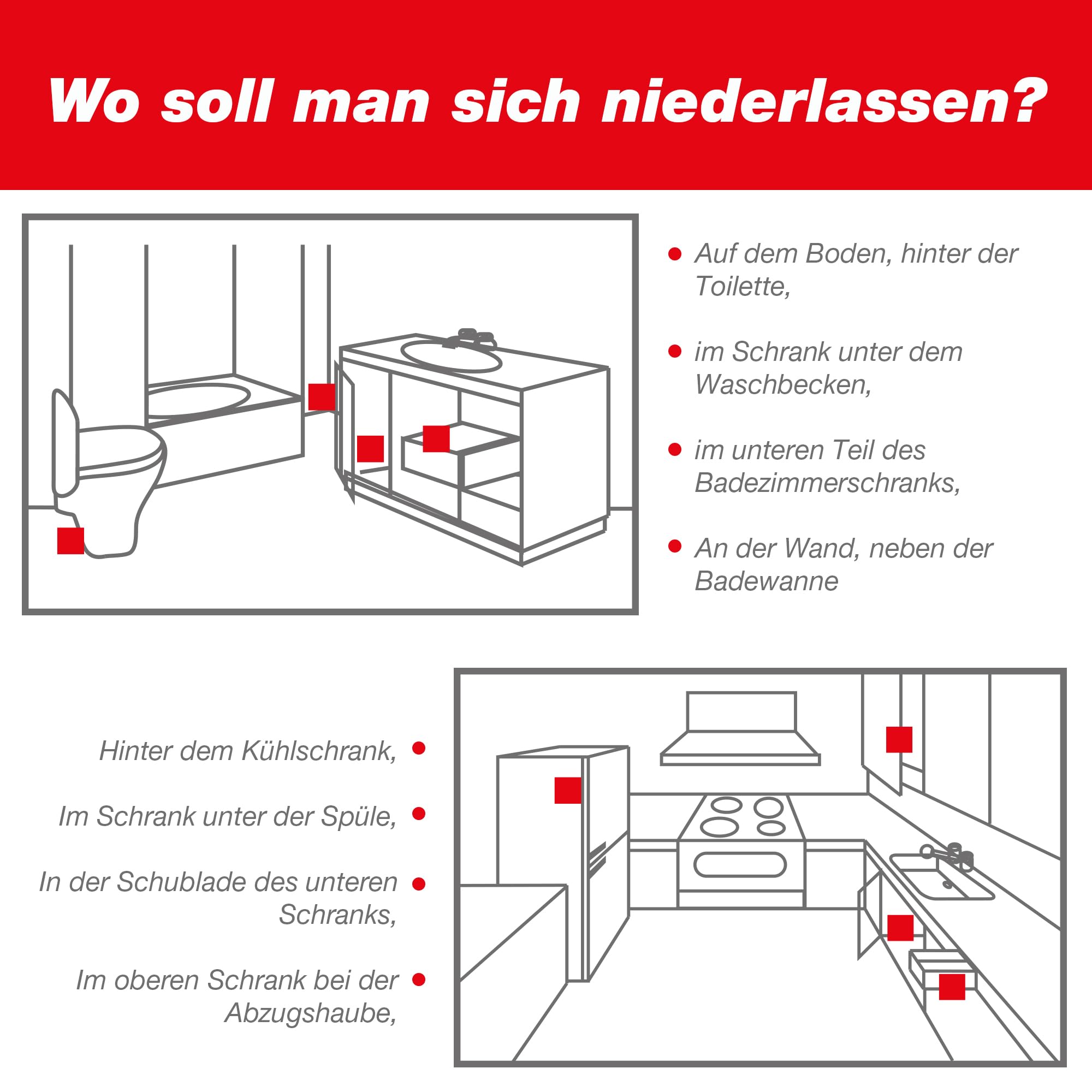 swissinno-monitoringfalle-silberfische-2-st-ck image 8