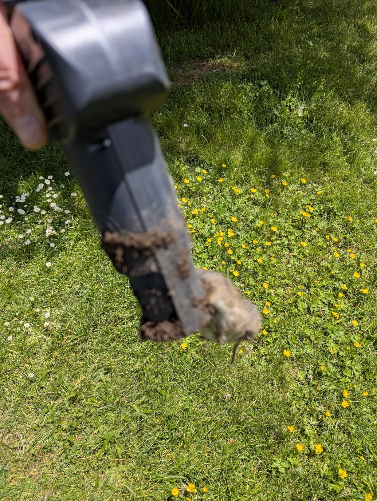 Endlich Ruhe im Garten