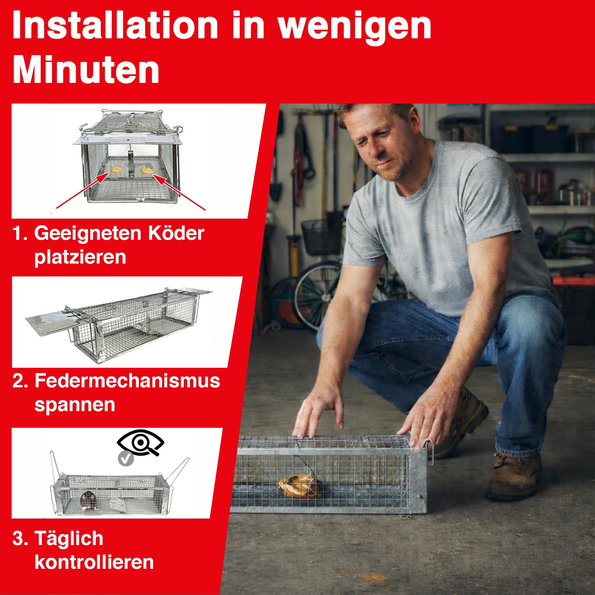swissinno-lebendfalle-pro-doppeleingang-41x15x12-cm-m-use-ratten image 6