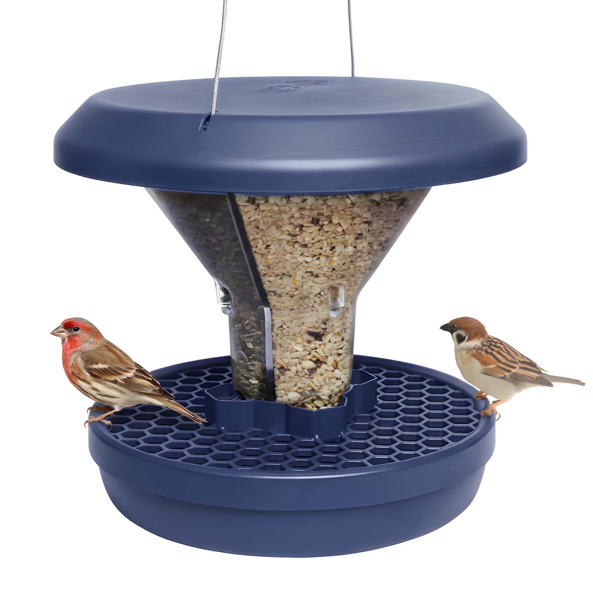 swissinno-grossvogel-abwehr-ring-f-r-smart-birds-futterspender-davos-geneva image 8
